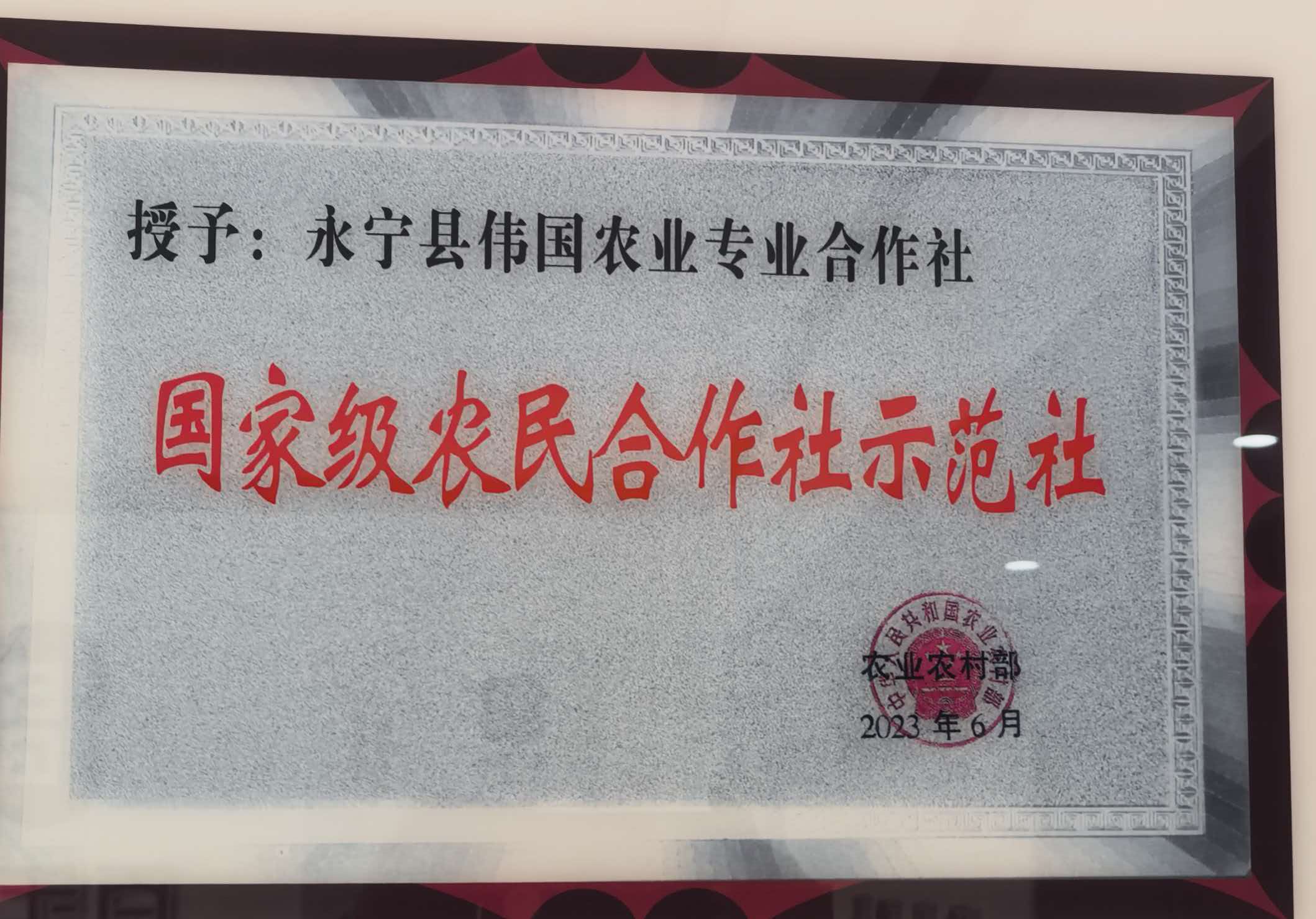国家级农民合作社示范社荣誉牌匾